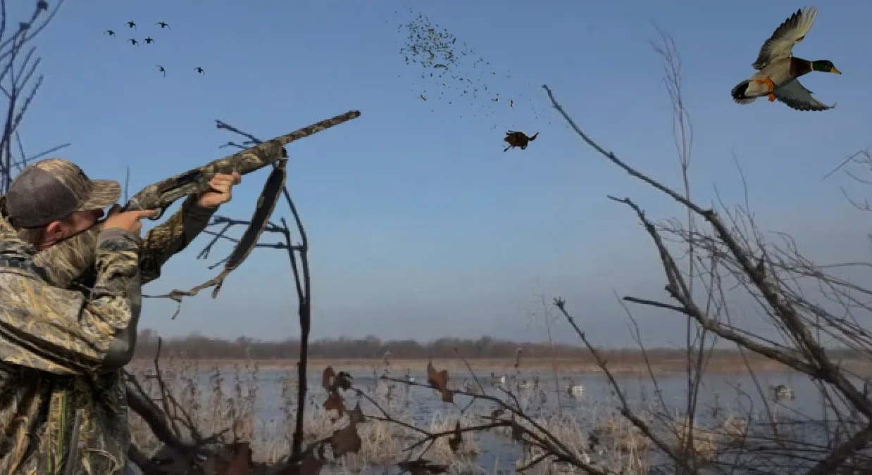 What are the benefits of duck hunting?