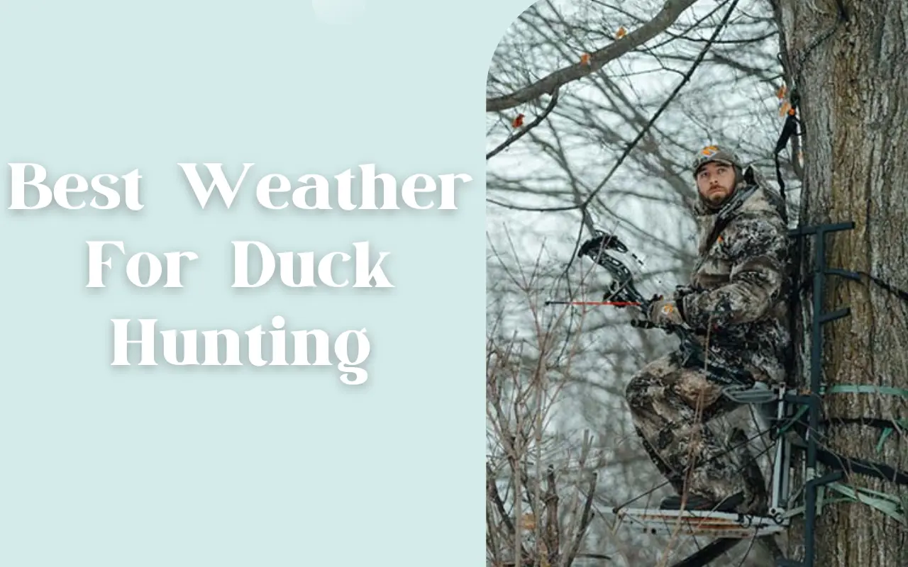 Best Weather For Duck Hunting.webp